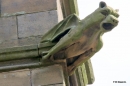 Gargoyle1